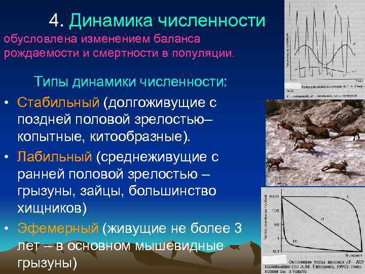 4. Динамика численности обусловлена изменением баланса рождаемости и смертности в популяции. Типы динамики численности: