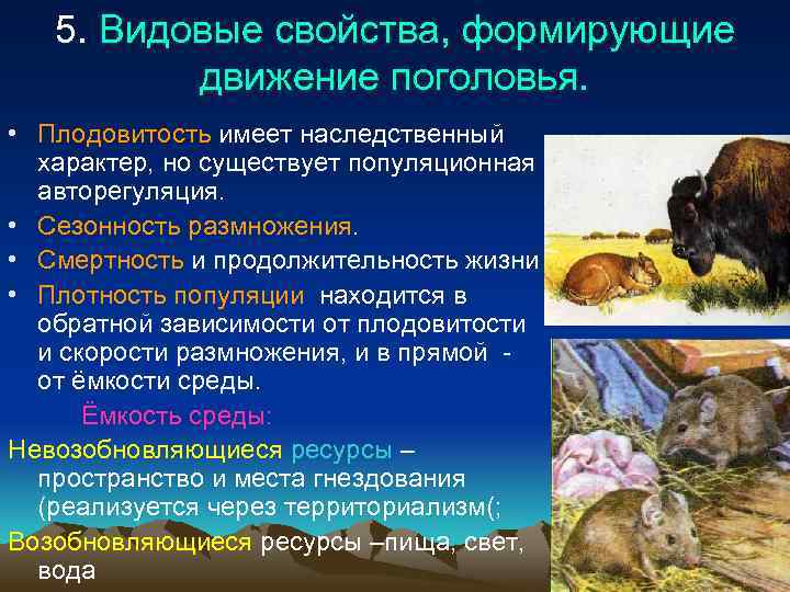 5. Видовые свойства, формирующие движение поголовья. • Плодовитость имеет наследственный характер, но существует популяционная