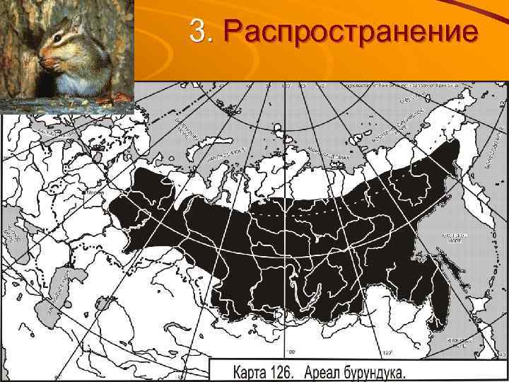 3. Распространение 