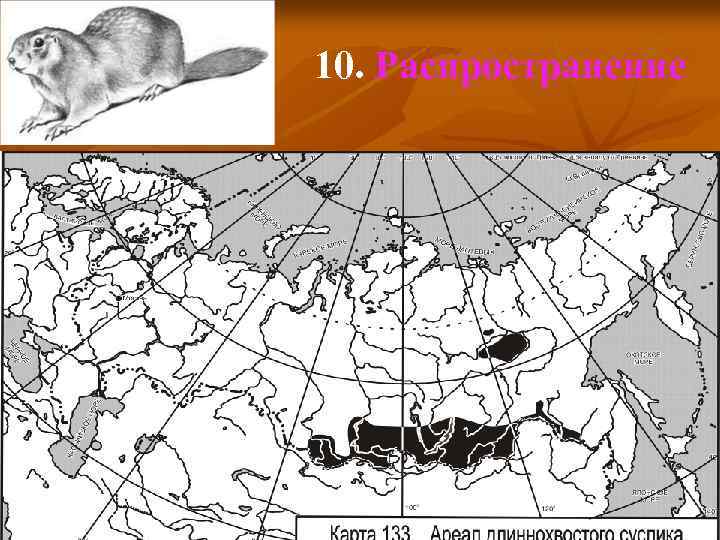 10. Распространение 