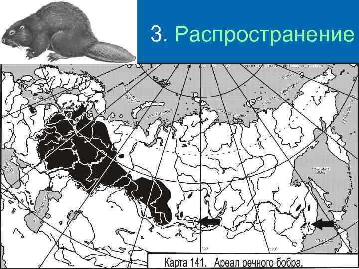 3. Распространение 