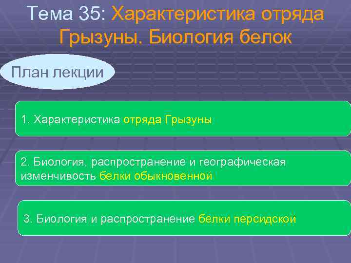 Тема 35: Характеристика отряда Грызуны. Биология белок План лекции 1. Характеристика отряда Грызуны 2.