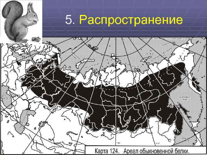 5. Распространение 