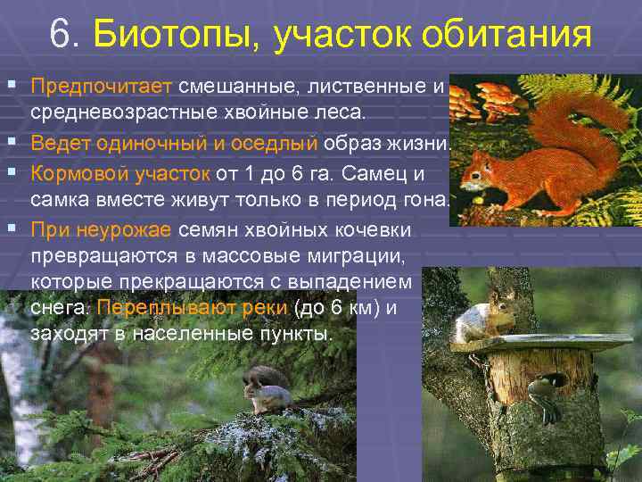 6. Биотопы, участок обитания § Предпочитает смешанные, лиственные и § § § средневозрастные хвойные