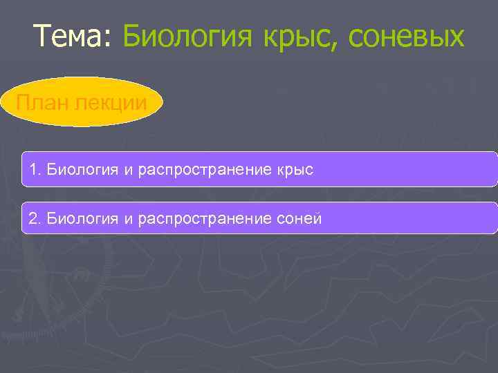 Тема: Биология крыс, соневых План лекции 1. Биология и распространение крыс 2. Биология и