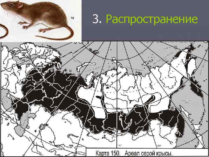 3. Распространение 