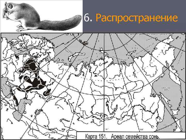 6. Распространение 
