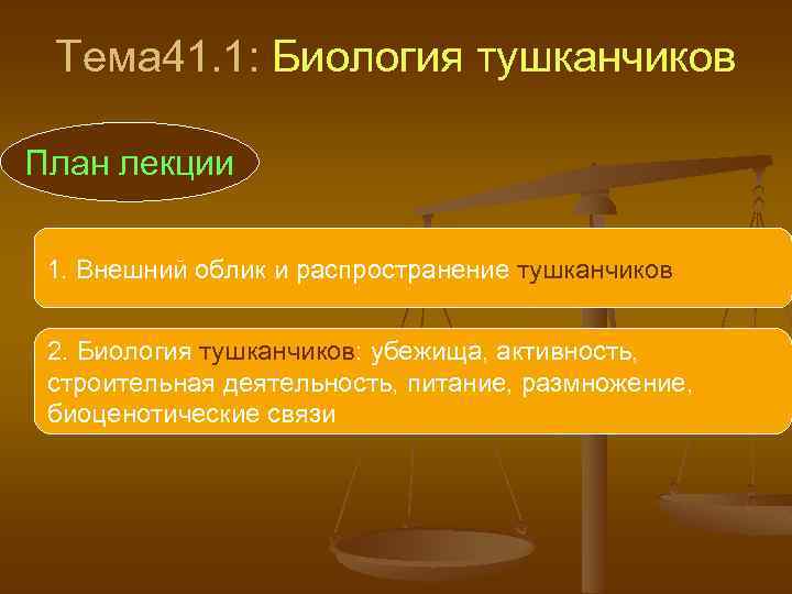 Тема 41. 1: Биология тушканчиков План лекции 1. Внешний облик и распространение тушканчиков 2.