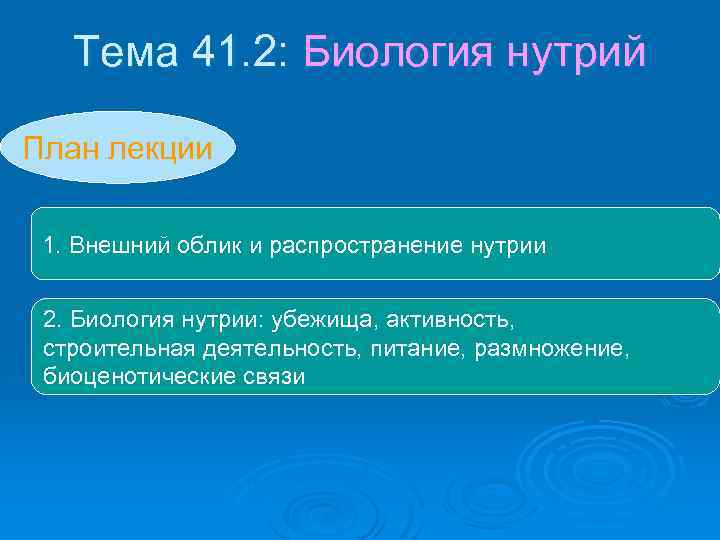 Тема 41. 2: Биология нутрий План лекции 1. Внешний облик и распространение нутрии 2.