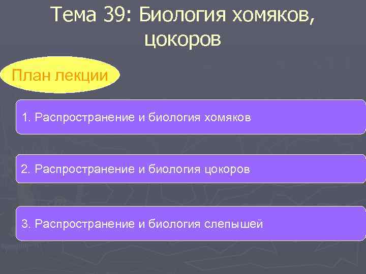 Тема 39: Биология хомяков, цокоров План лекции 1. Распространение и биология хомяков 2. Распространение