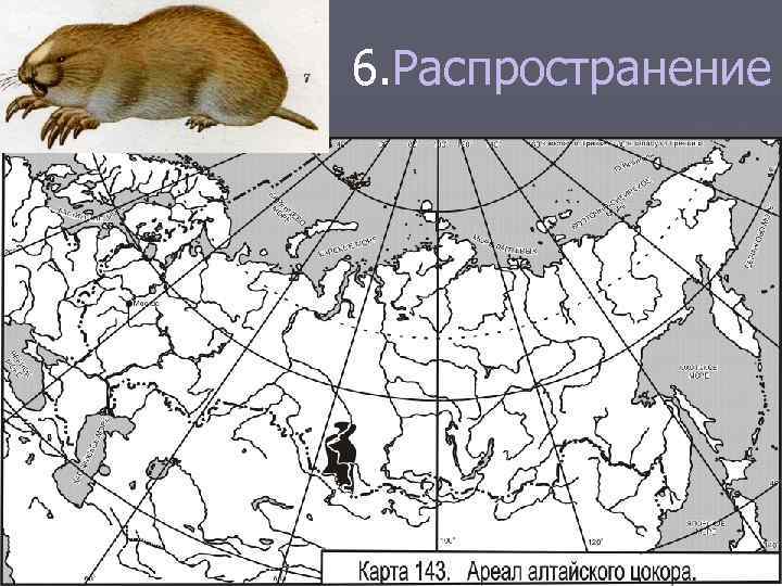 6. Распространение 