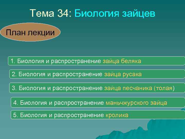 Тема 34: Биология зайцев План лекции 1. Биология и распространение зайца беляка 2. Биология