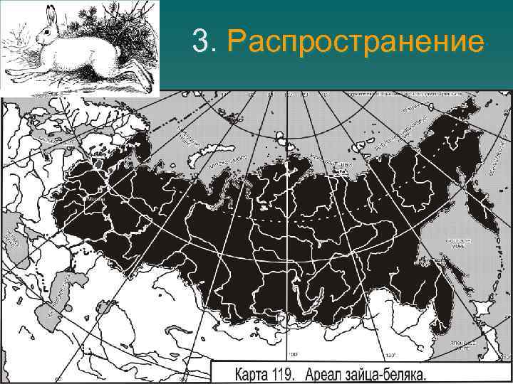 3. Распространение 