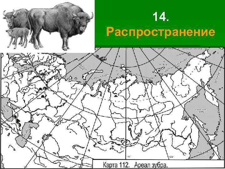 14. Распространение 