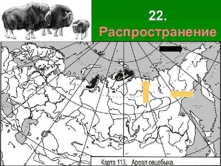 22. Распространение 