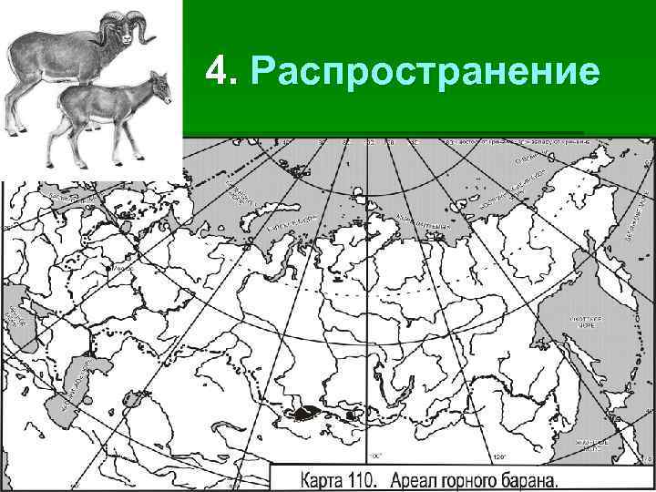 4. Распространение 