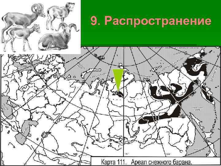 9. Распространение 