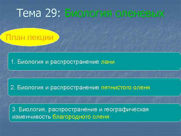 Тема 29: Биология оленевых План лекции 1. Биология и распространение лани 2. Биология и