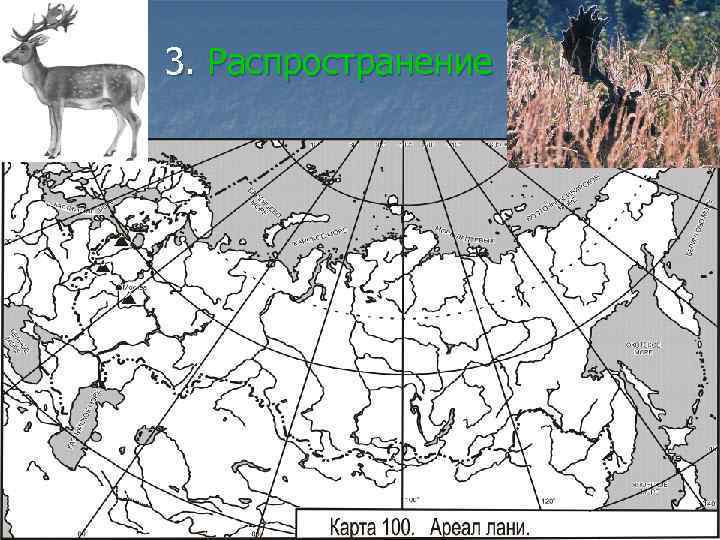 3. Распространение 