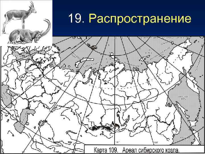 19. Распространение 