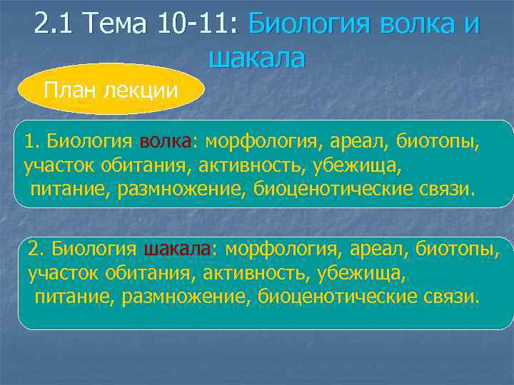 2. 1 Тема 10 -11: Биология волка и шакала План лекции 1. Биология волка: