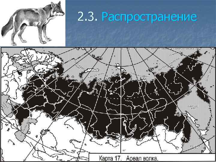 2. 3. Распространение 