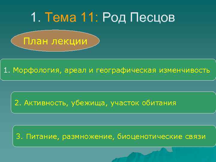 1. Тема 11: Род Песцов План лекции 1. Морфология, ареал и географическая изменчивость 2.