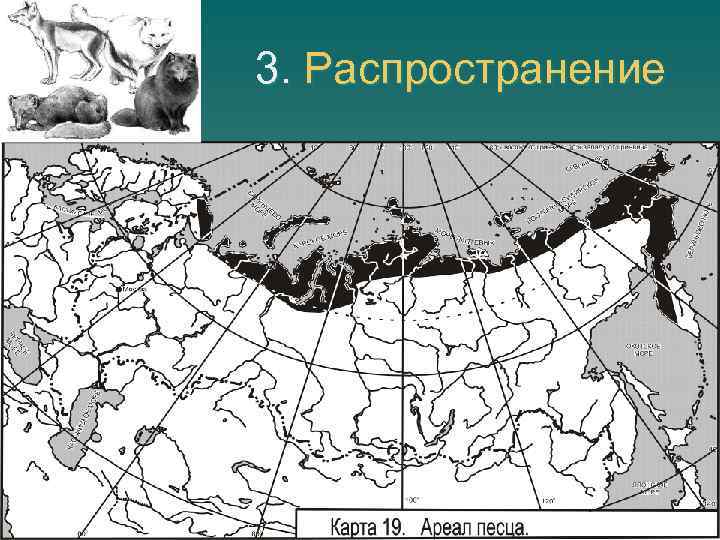 3. Распространение 