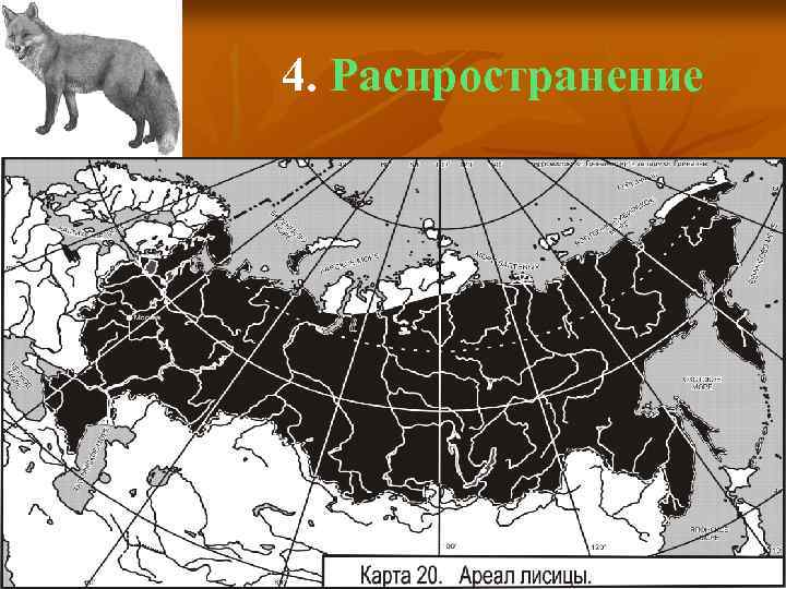 4. Распространение 