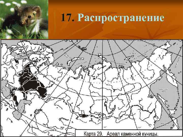 17. Распространение 