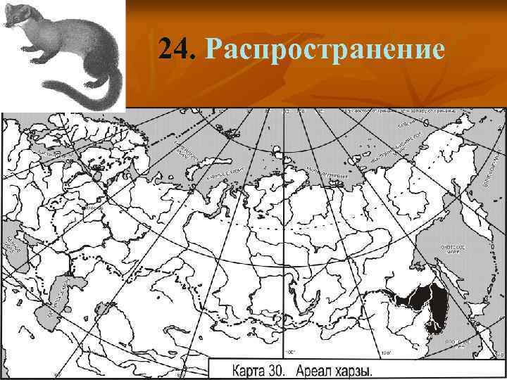 24. Распространение 