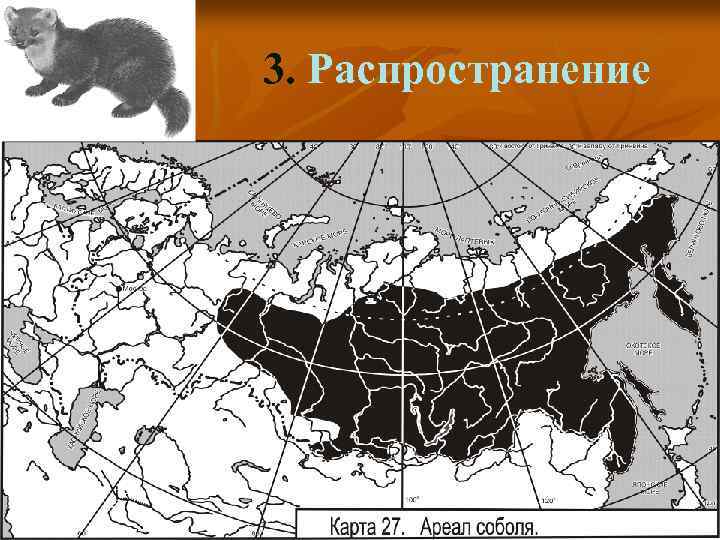 3. Распространение 
