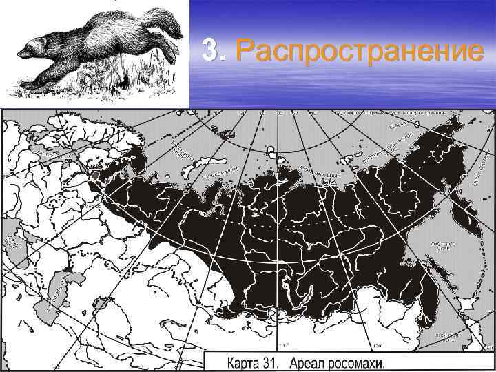 3. Распространение 