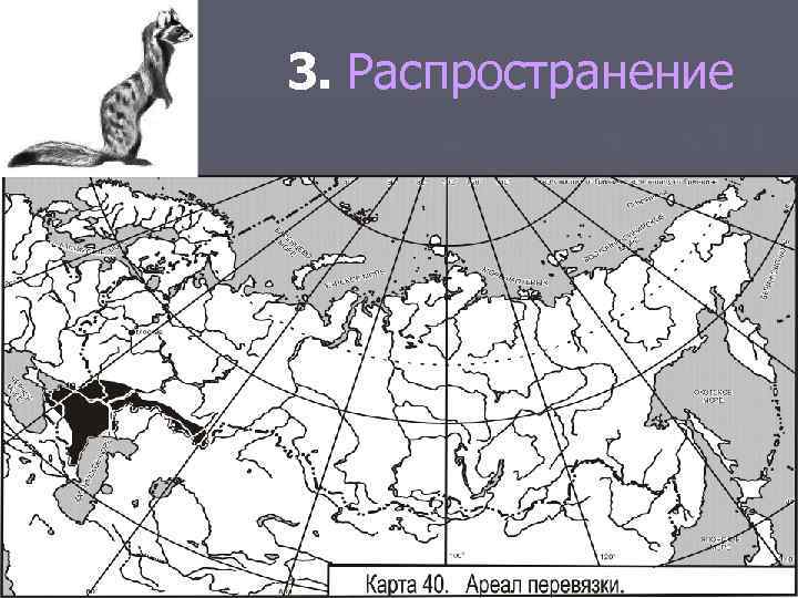 3. Распространение 