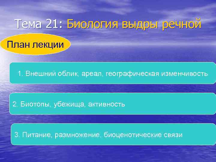 Тема 21: Биология выдры речной План лекции 1. Внешний облик, ареал, географическая изменчивость 2.