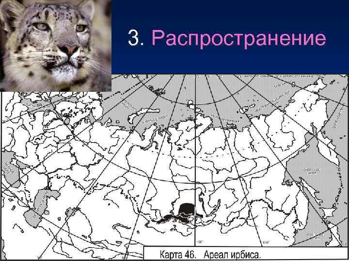 3. Распространение 
