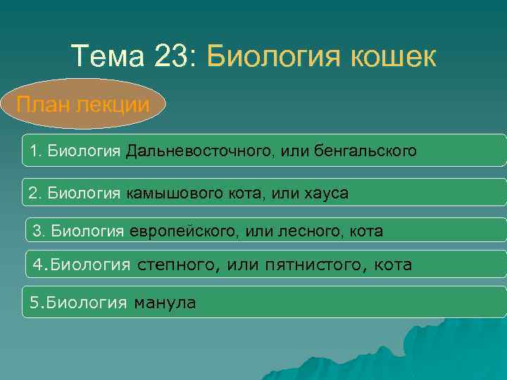 Тема 23: Биология кошек План лекции 1. Биология Дальневосточного, или бенгальского 2. Биология камышового