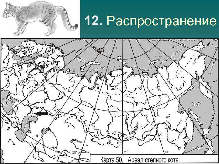 12. Распространение 