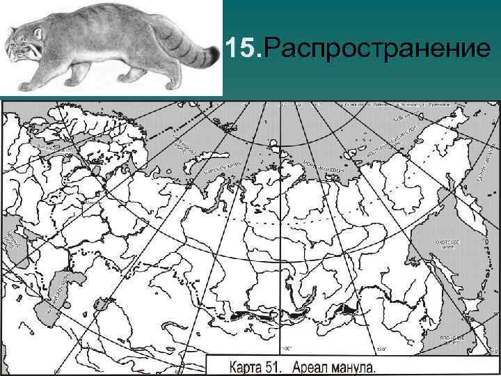 15. Распространение 