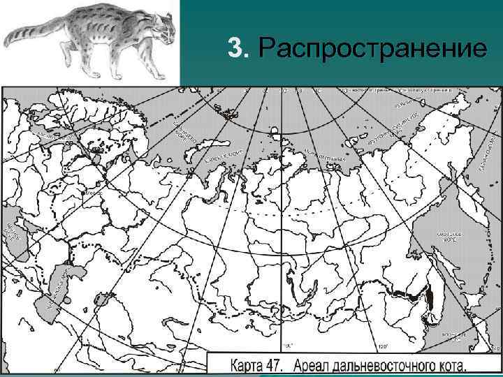3. Распространение 