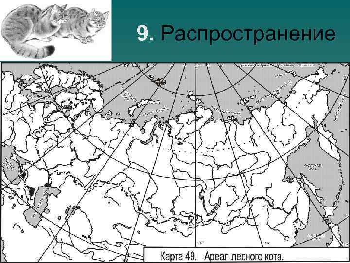 9. Распространение 