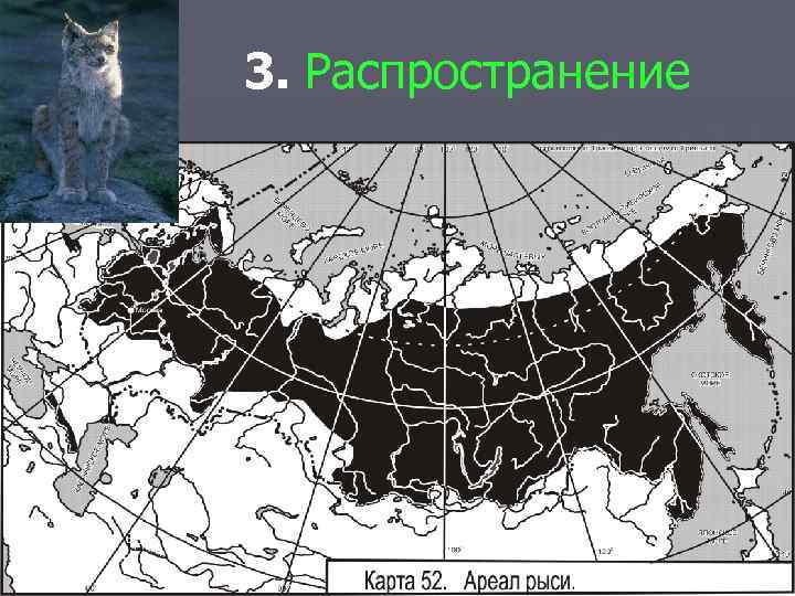 3. Распространение 
