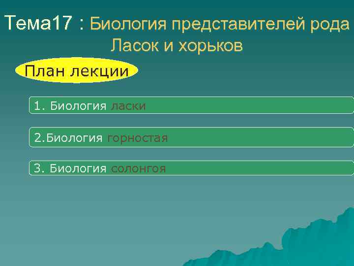 Тема 17 : Биология представителей рода Ласок и хорьков План лекции 1. Биология ласки