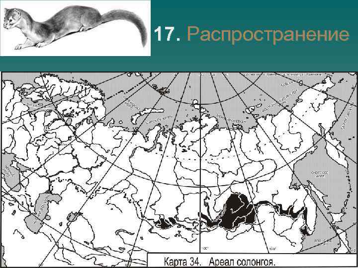 17. Распространение 