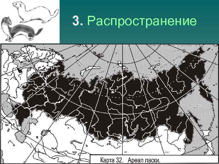 3. Распространение 