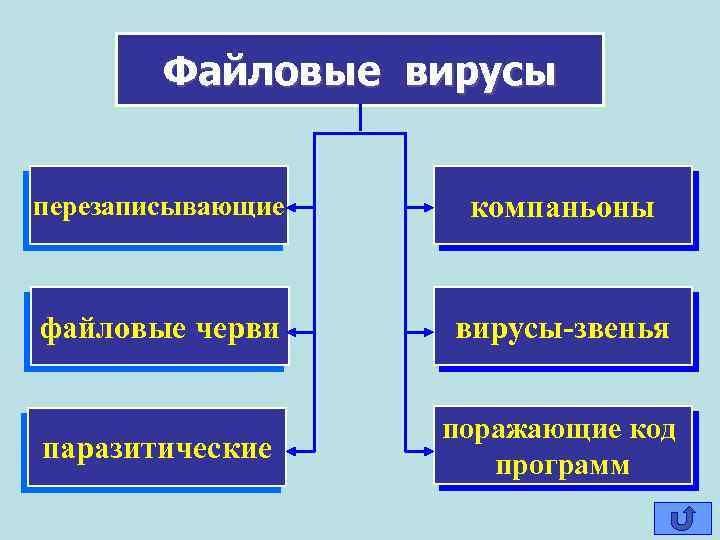 Файловые вирусы перезаписывающие компаньоны файловые черви вирусы-звенья паразитические поражающие код программ 