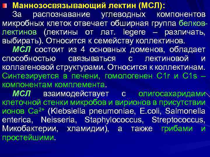 Маннозосвязывающий лектин (МСЛ): За распознавание углеводных компонентов микробных клеток отвечает обширная группа белковлектинов (лектины