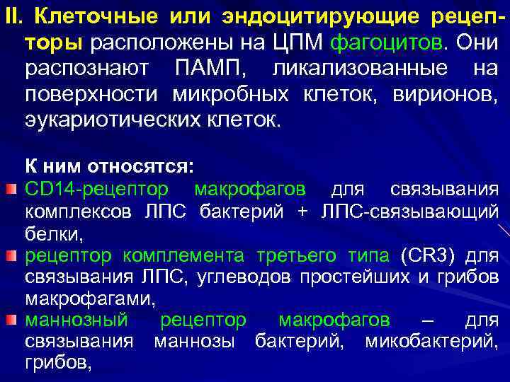 II. Клеточные или эндоцитирующие рецепторы расположены на ЦПМ фагоцитов. Они распознают ПАМП, ликализованные на