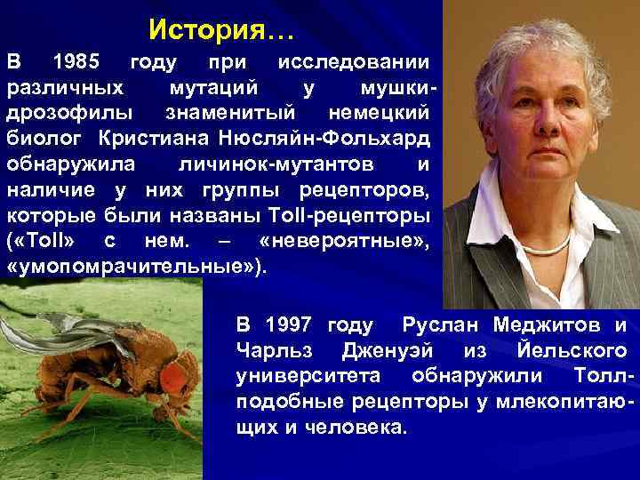 История… В 1985 году при исследовании различных мутаций у мушкидрозофилы знаменитый немецкий биолог Кристиана