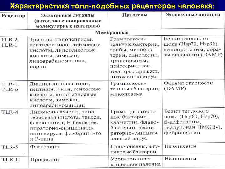 Характеристика толл-подобных рецепторов человека: 